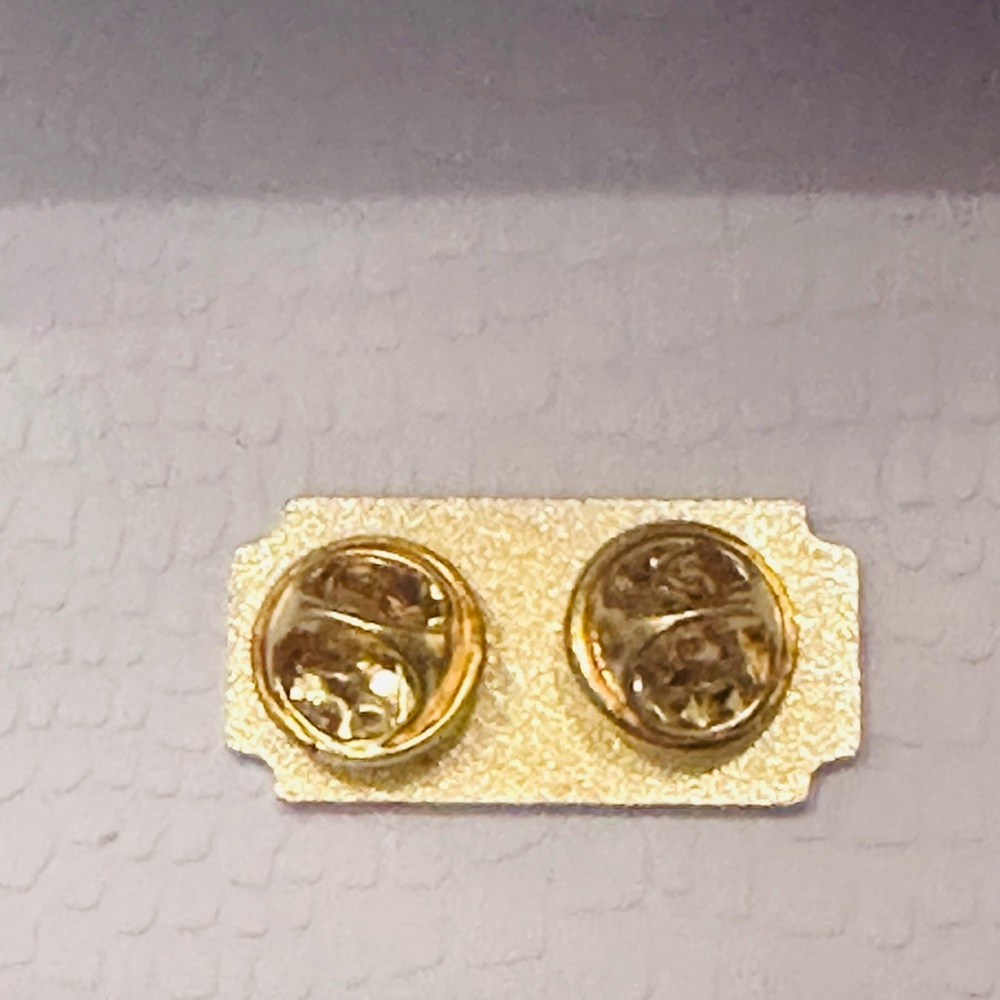 T.S. Reputation Tour Pin - Picture 5 of 5